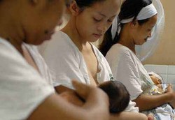 Flu Babi Bikin Bank ASI Kehabisan Stok