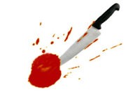 Pelaku Pembunuhan Khoen Hardjanto Tertangkap