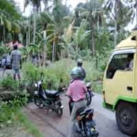 Angin Kencang Hajar Sumenep, Lalin Terganggu 