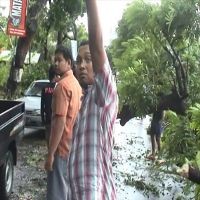 Suami Istri Tewas Tertimpa Pohon Akibat Angin Puting Beliung