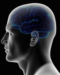 Otak Manusia Bakal Jadi Incaran Cracker?