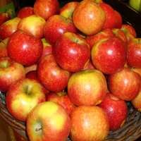 5 Buah Segar Pencegah Flu