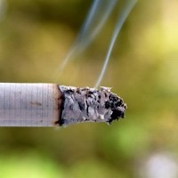 Bayi 6 Bulan Merokok di Facebook