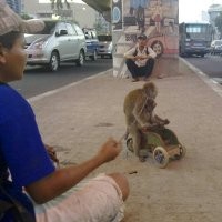 Rini Berjumpalitan di Lampu Merah