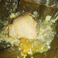 Slruuup..Suedep Tenan, Garang Asem Ayam!