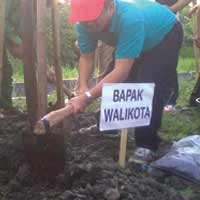 Selamatkan Paru-paru Kota Surabaya, 5.250 Pohon Ditanam