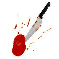 Bocah 9 Tahun Diculik, Dibunuh dan Dibakar di Asahan