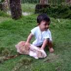 Fathir Atthariq Mustafa, 8 Bulan; Lelaki; m