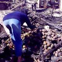 CV Karya Jaya Menangkan Tender Lelang Besi