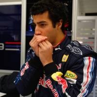 Banteng Merah Rasa Kanguru