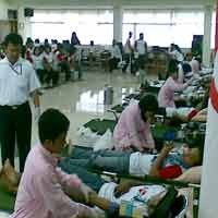 PMI Cabang Surabaya Diserbu Ribuan Pendonor