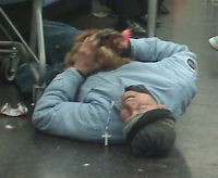 Pria Bermesraan dengan Ayam Nampang di YouTube