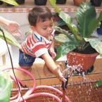 Muchammad Nafrisal Raihan, 2 Tahun; Lelaki; m