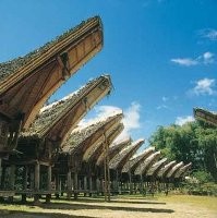 Ah, Tana Toraja Tiada Tara ...