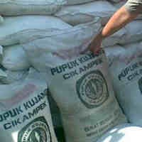 Pemerintah Kaji Pusri Tidak Lagi Jadi Holding BUMN Pupuk