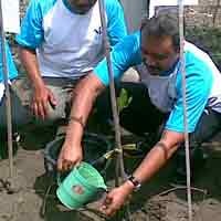Wagub Jatim Tanam Mangrove Bareng 1.000 Penderita Kusta