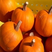 5 Makanan Sehat Yang Tak Populer