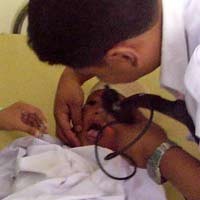 Niru Gaya Limbad, Bocah Kelas 3 Nyaris Klenger