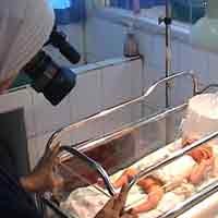 Dua Bayi Kelamin Ganda Lahir di Jombang