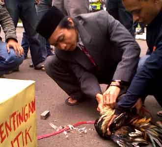 Massa KAPUR Sembelih Ayam