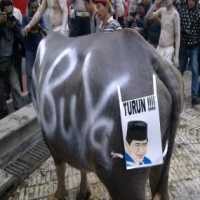 SBY Sentil Kerbau Ikut Demo 28 Januari