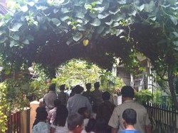 Menyusuri Gang Beratap Anggur di Pasar Minggu 