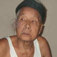 Hutan Terus Dijarah, Patih Laman Kembalikan Kalpataru