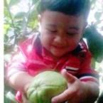 Muhammad Fahreza Amrullah, 1,1 Tahun; Lelaki; m