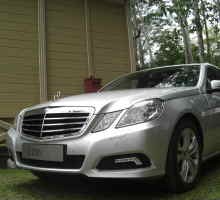 Mercy Sebar 3.000 Pohon di Jakarta