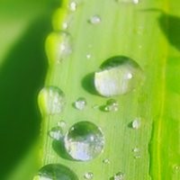 Daerah Srengseng Jakarta Barat Sering Terjadi Mati Air Berjam-jam 