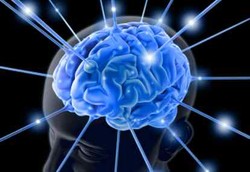  Bagian Otak yang Menyebabkan Orang Takut Kehilangan Uang