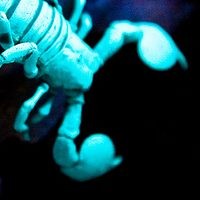 HTC Scorpion, Ponsel Plus Wimax? 