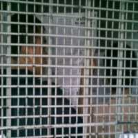 Buka Koran, 3 Orang Lindungi Sigid Di Sel