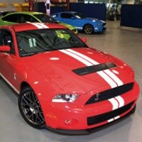 Monster Shelby Terbaru Lahir