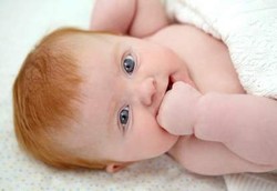 Kehidupan Bayi di 6 Bulan Pertamanya