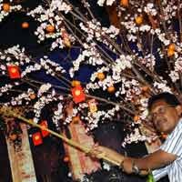 Pengunjung Singgasana Hotel Berkesempatan Petik Buah Jeruk