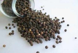  Lada Hitam Alternatif Obat Penghilang Rasa Nyeri