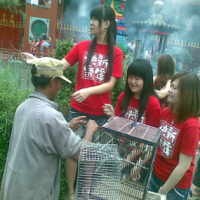 Pedagang Burung Ketiban Untung