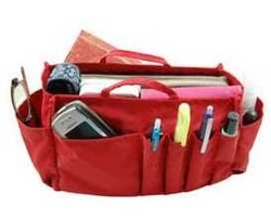 Get Organize With Bag Organizer 