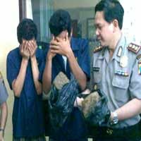 Ganja Kering Seberat 2 Kg Diamankan Polisi 