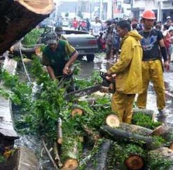 8 Mobil Keliling Bandung Angkuti Sampah Pohon Tumbang