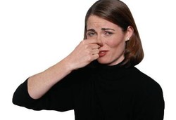 8 Penyebab Sering Kentut