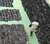 Pria Paruh Baya Curi 1.200 Pasang Sepatu di Pemakaman