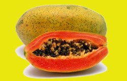 HERBAL: Pepaya