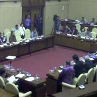 Mulai dari Galak Hingga yang Malu-malu