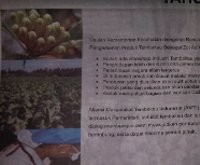 HKTI Kecam Namanya Dicatut dalam Iklan RPP Tembakau