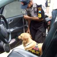 Jadi Pengedar Sabu-Sabu, 2 Oknum Polisi Ditangkap