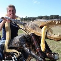 Motor dari Bangkai Alligator