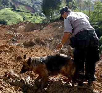 Anjing Pelacak Cari Korban Longsor
