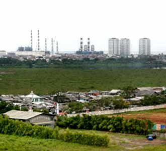 Waduk Enceng Gondok Pluit